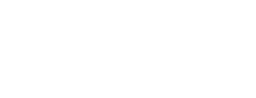 Marte Web Design and Development Summerville Charleston SC