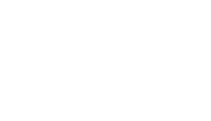 Marte Website Design and Development Summerville Charleston SC