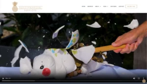 Fazio Financial Services Charleston Summerville SC