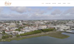 Halsey and Spruce Charleston